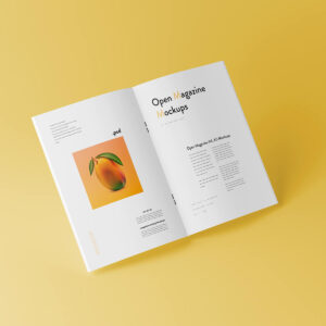 BOOKLETS / MULTI-PAGE CATALOGS